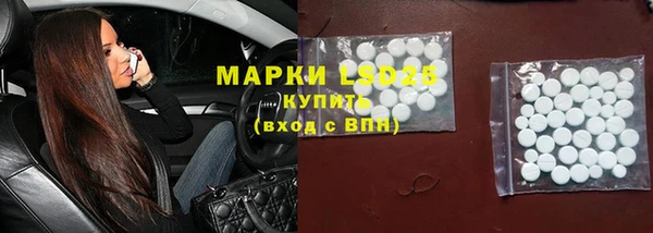 индика Абаза