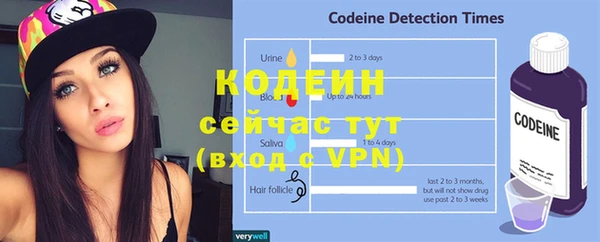 индика Абаза