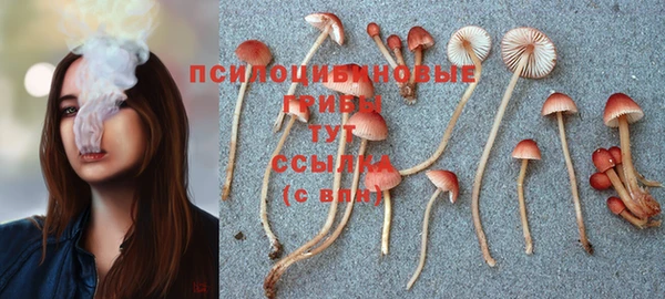 mix Абинск