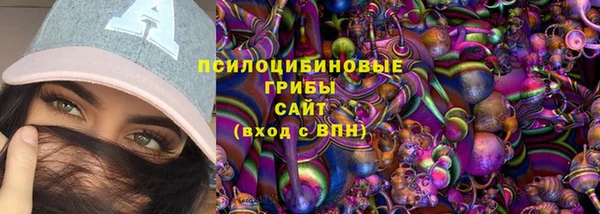 индика Абаза