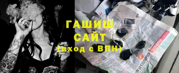 индика Абаза