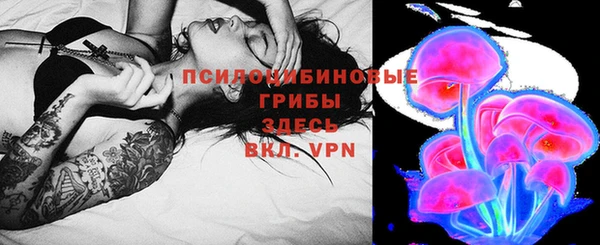 индика Абаза