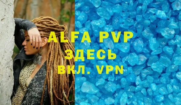 индика Абаза