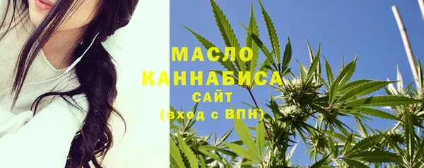 индика Абаза