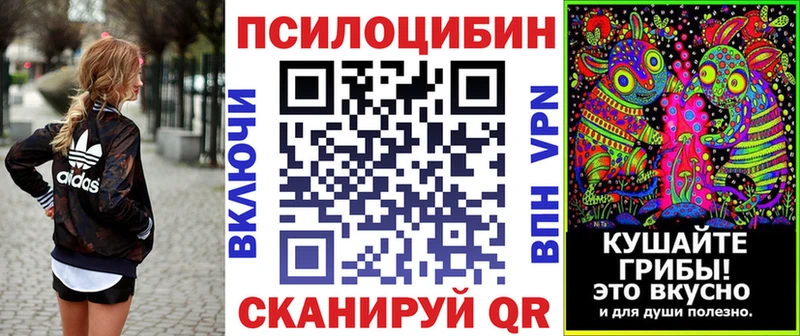 Псилоцибиновые грибы прущие грибы дарнет шоп darknet формула Истра мега ONION