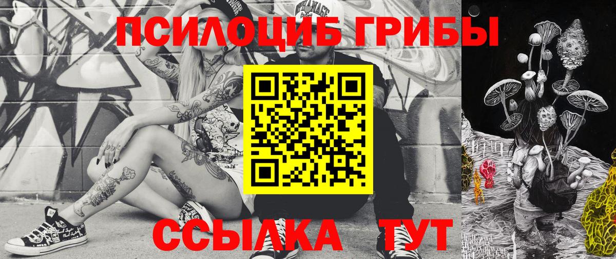 Галлюциногенные грибы GOLDEN TEACHER  Псилоцибиновые грибы Psilocybine cubensis  Истра  Вход с VPN 